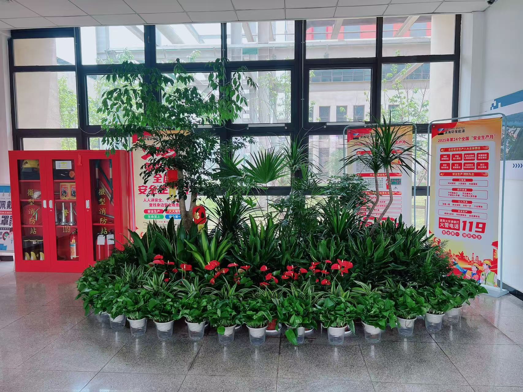 宁波鄞州植物出租，多样绿植点亮您的生活空间