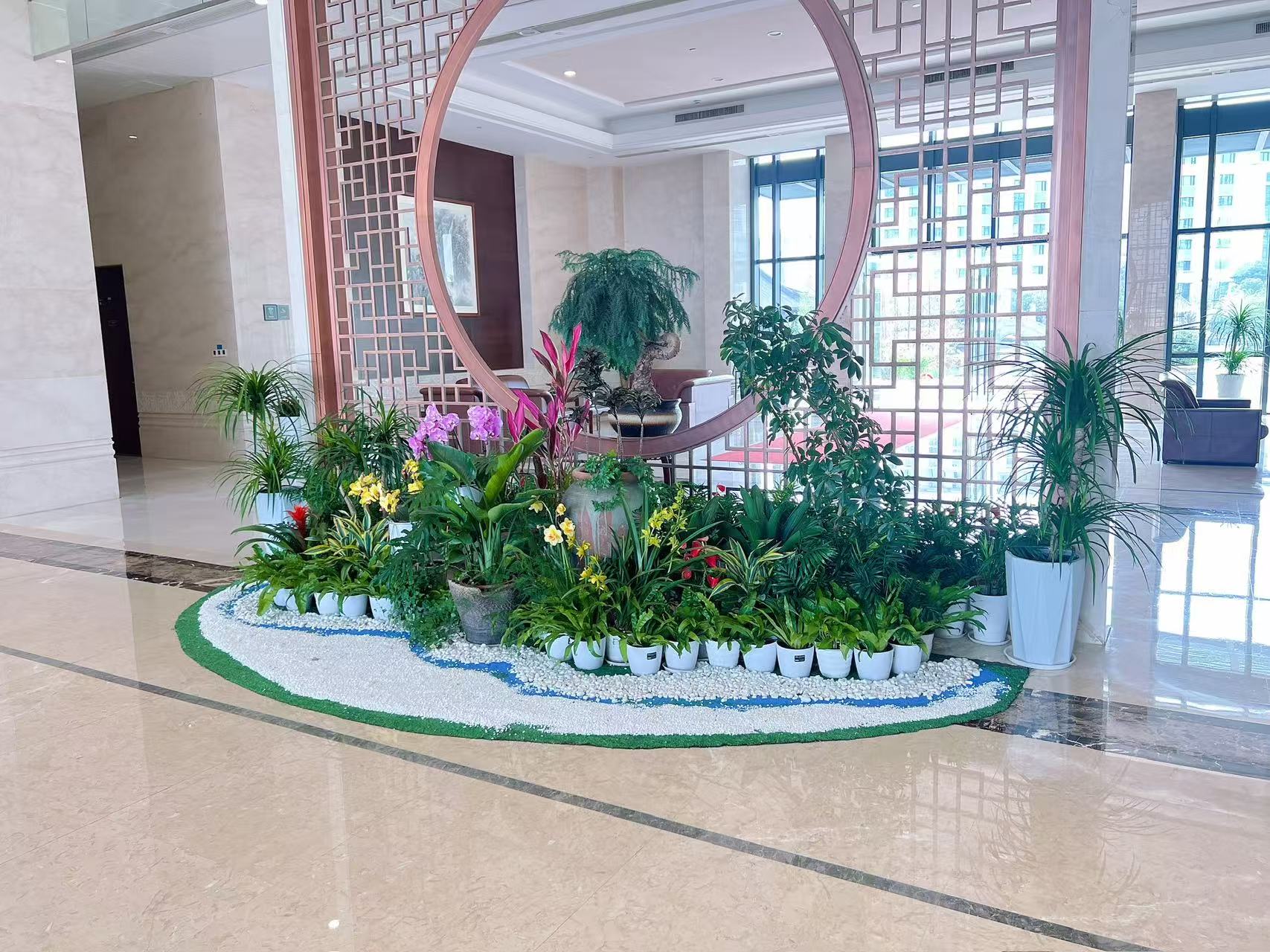 解锁宁波北仑绿植租摆，让空间瞬间充满生机！